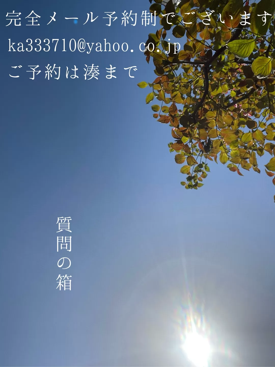 湊 かすみの写メ日記｜ローテンブルク 吉原高級店ソープ