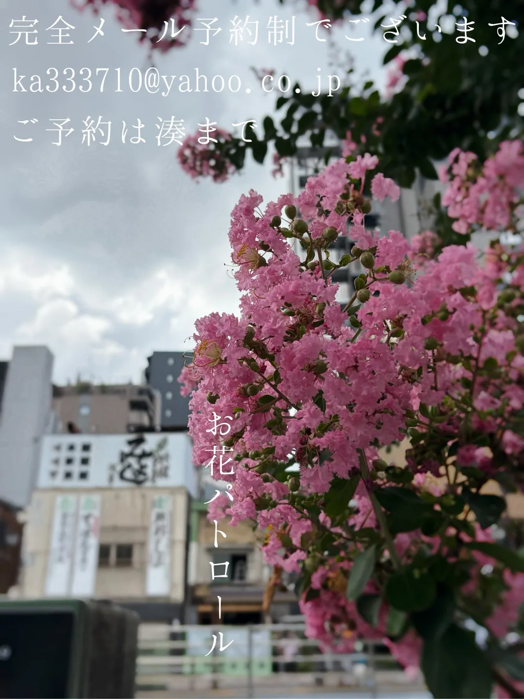 湊 かすみの写メ日記｜ローテンブルク 吉原高級店ソープ