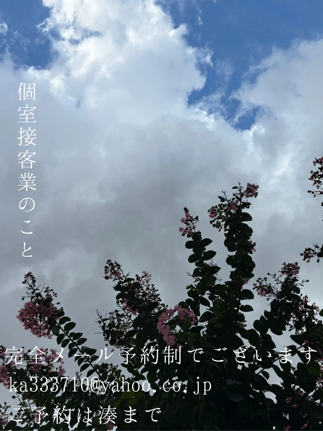 湊 かすみの写メ日記｜ローテンブルク 吉原高級店ソープ