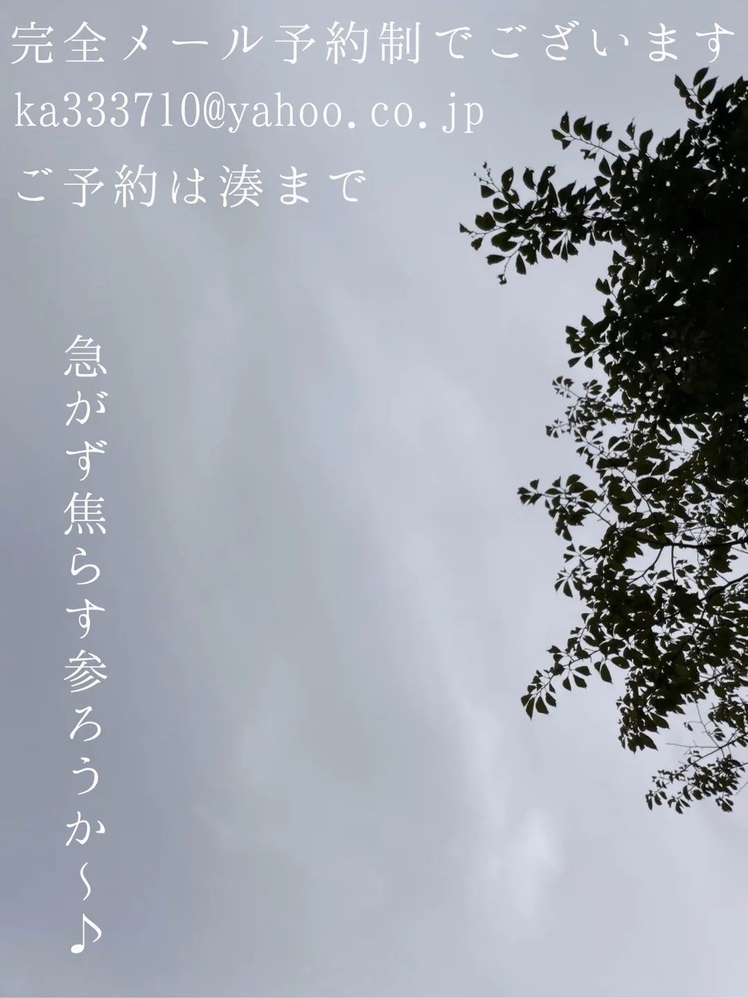 湊 かすみの写メ日記｜ローテンブルク 吉原高級店ソープ