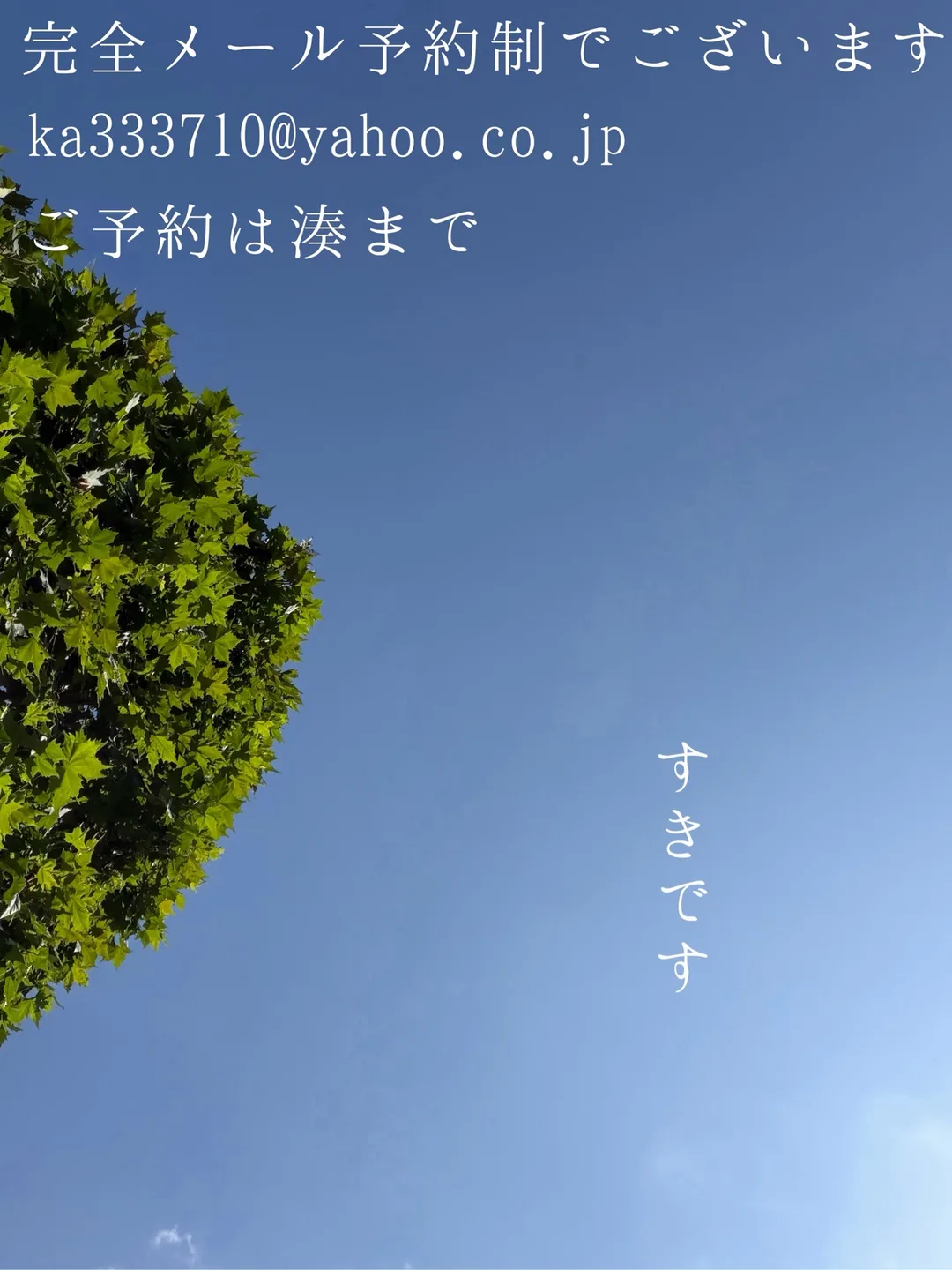 湊 かすみの写メ日記｜ローテンブルク 吉原高級店ソープ