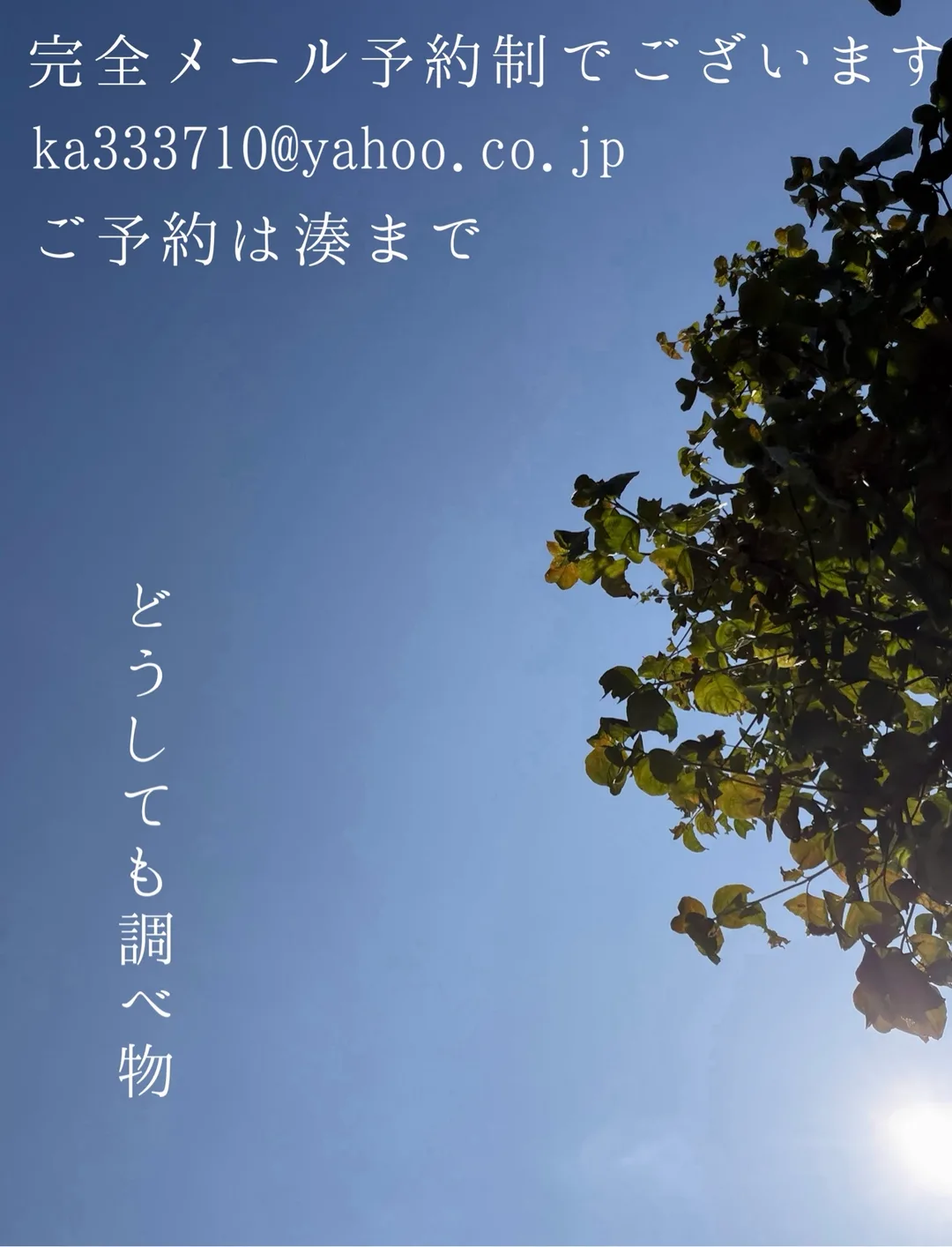 湊 かすみの写メ日記｜ローテンブルク 吉原高級店ソープ