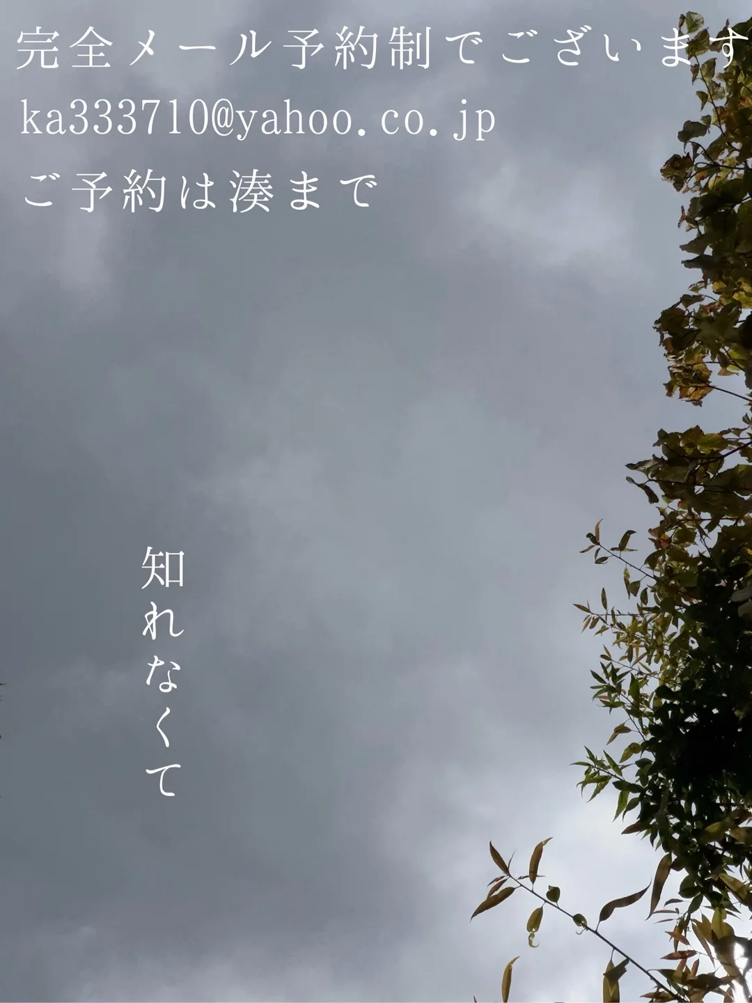 湊 かすみの写メ日記｜ローテンブルク 吉原高級店ソープ