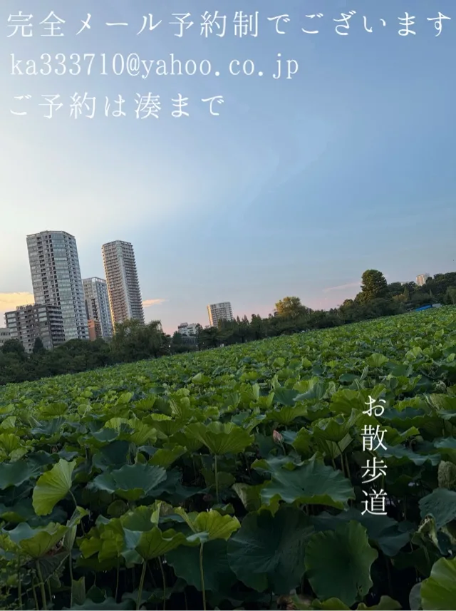 湊 かすみの写メ日記｜ローテンブルク 吉原高級店ソープ