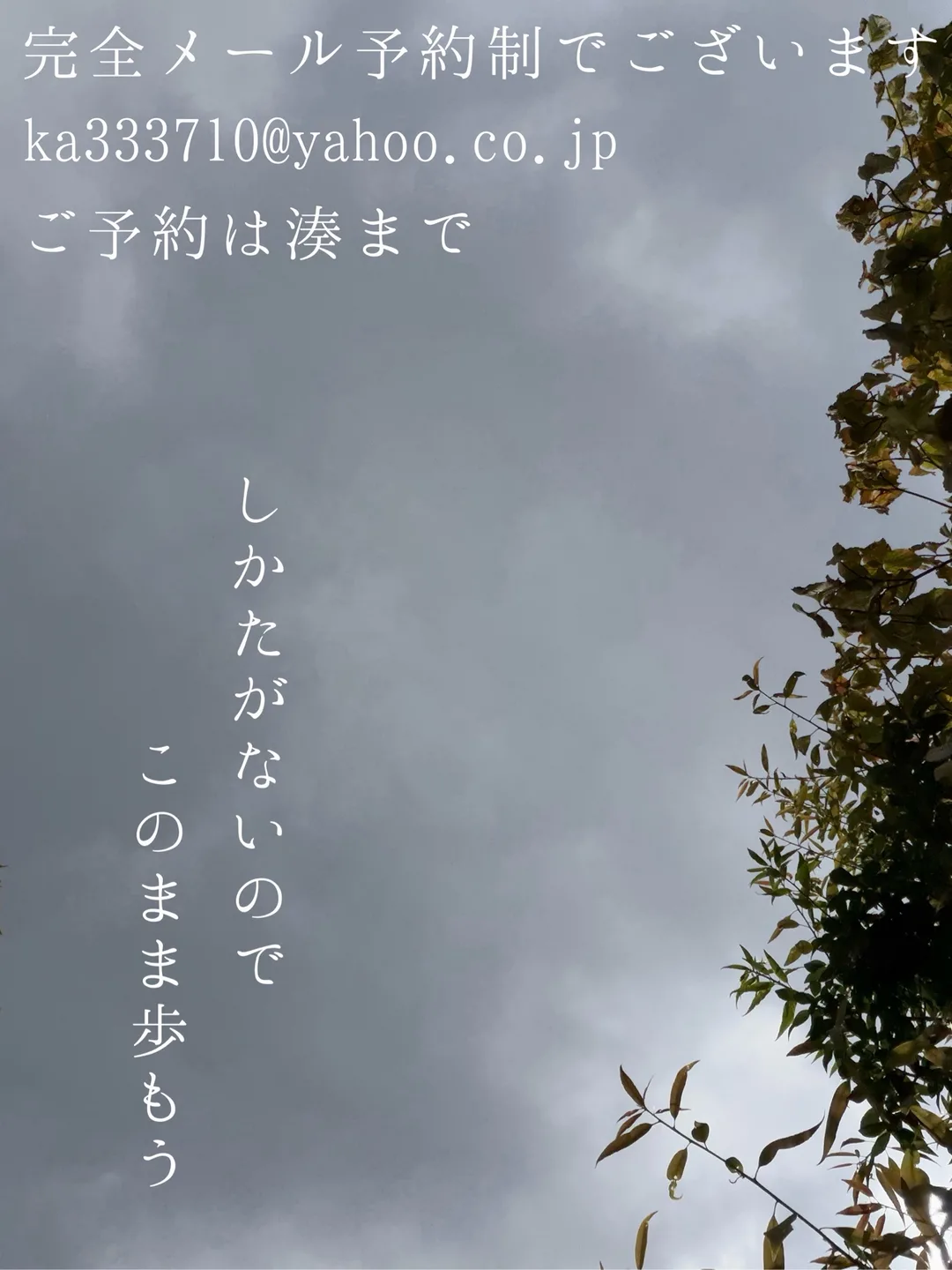 湊 かすみの写メ日記｜ローテンブルク 吉原高級店ソープ