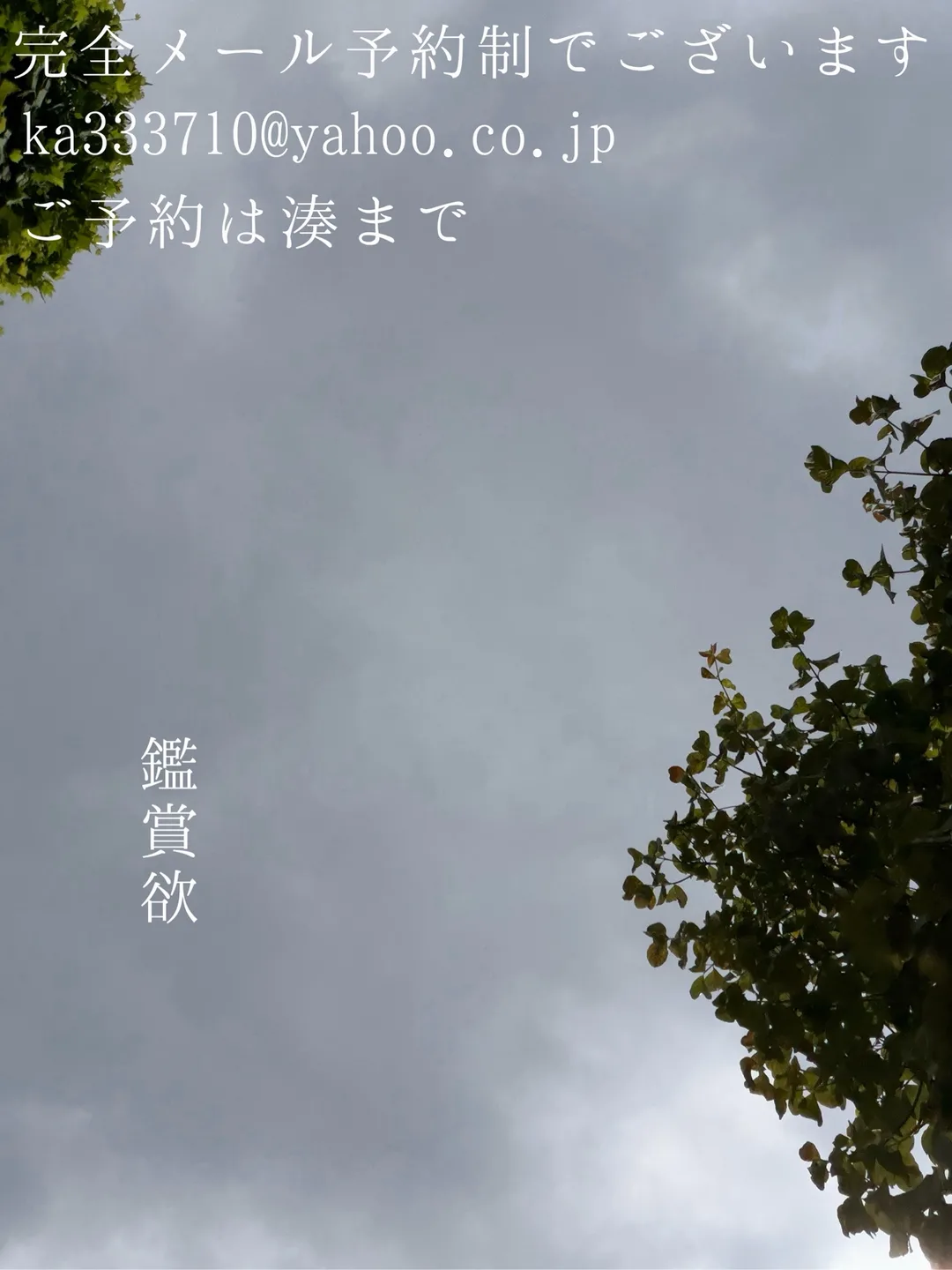 湊 かすみの写メ日記｜ローテンブルク 吉原高級店ソープ