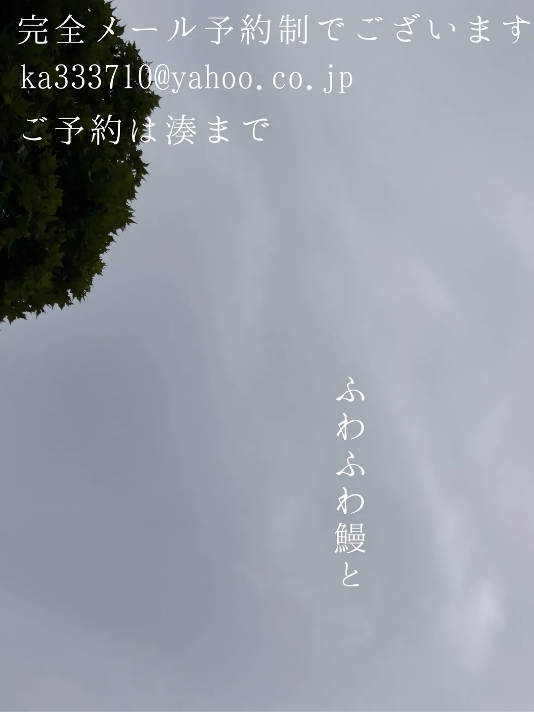 湊 かすみの写メ日記｜ローテンブルク 吉原高級店ソープ