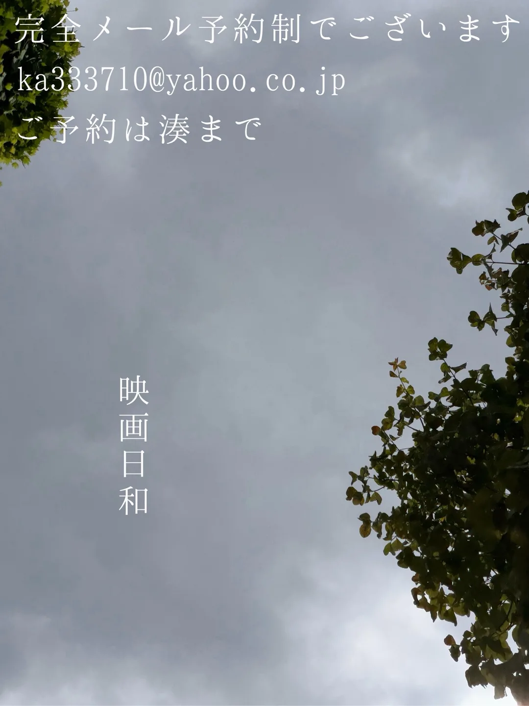 湊 かすみの写メ日記｜ローテンブルク 吉原高級店ソープ