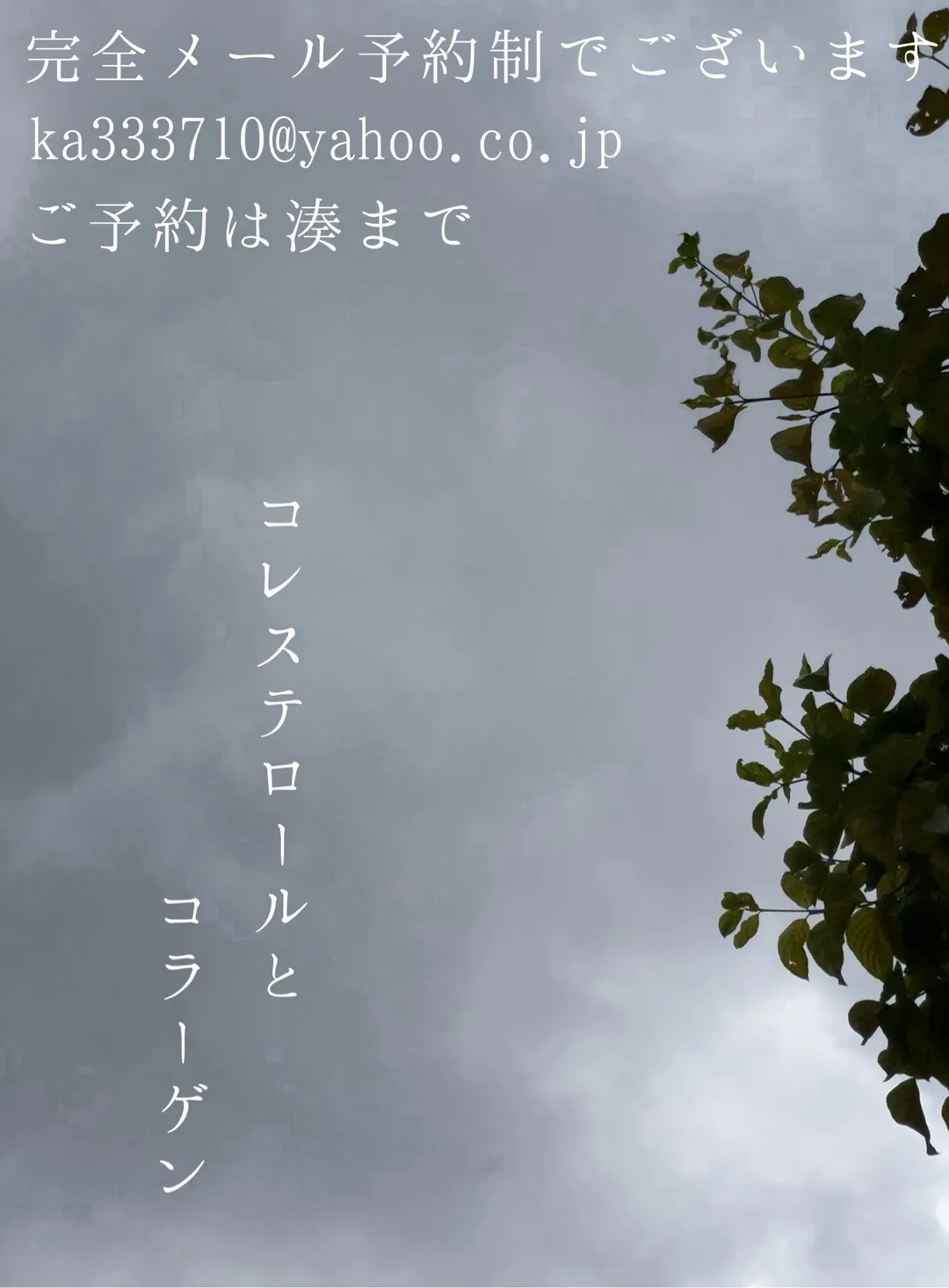 湊 かすみの写メ日記｜ローテンブルク 吉原高級店ソープ