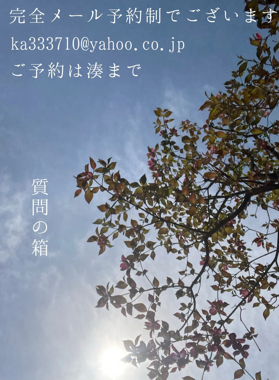 湊 かすみの写メ日記｜ローテンブルク 吉原高級店ソープ