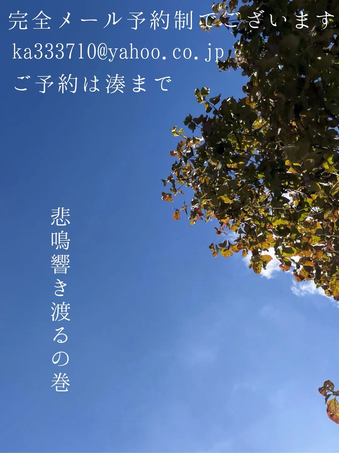 湊 かすみの写メ日記｜ローテンブルク 吉原高級店ソープ