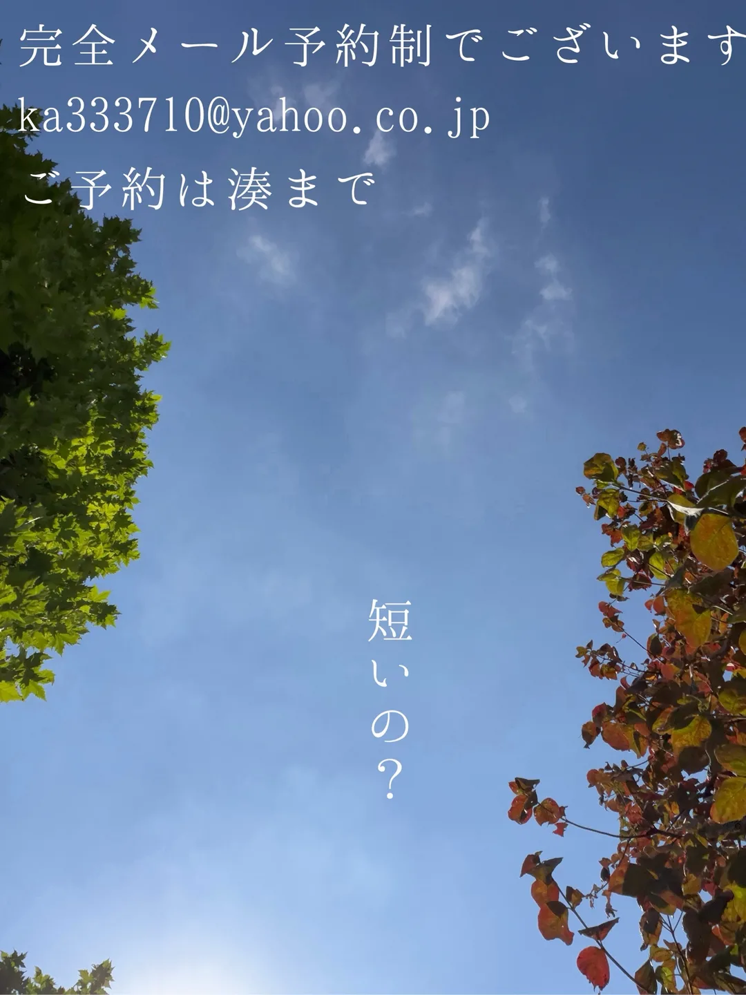 湊 かすみの写メ日記｜ローテンブルク 吉原高級店ソープ