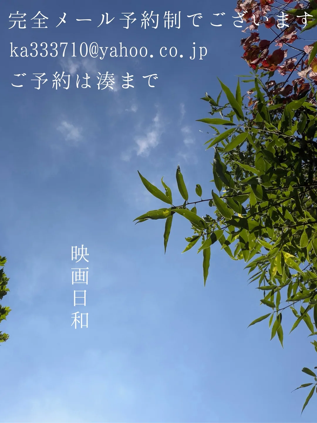 湊 かすみの写メ日記｜ローテンブルク 吉原高級店ソープ