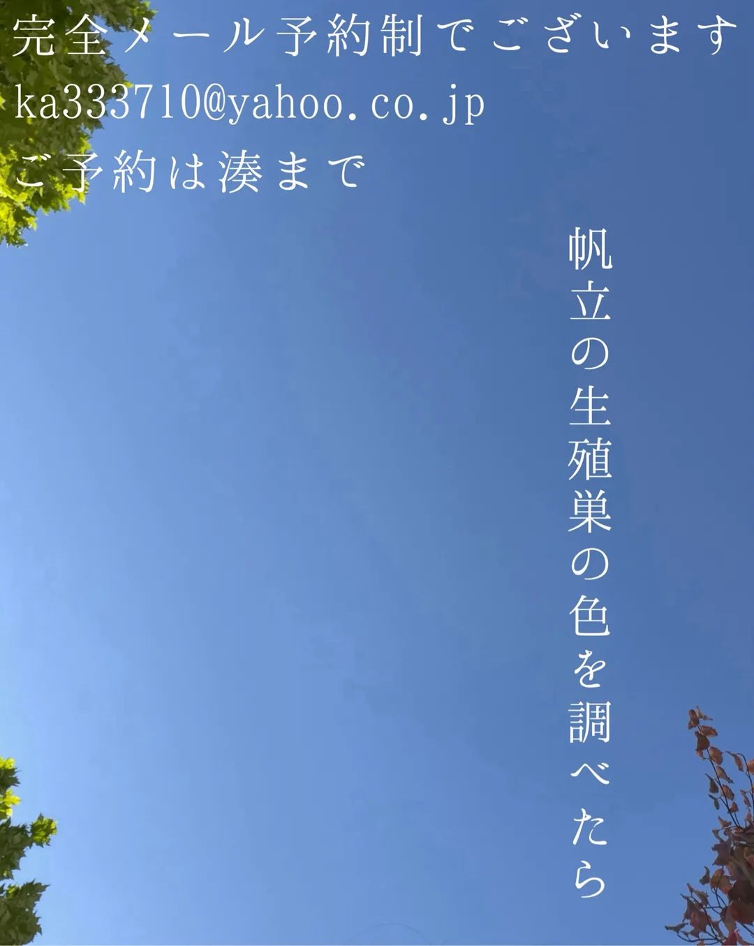 湊 かすみの写メ日記｜ローテンブルク 吉原高級店ソープ