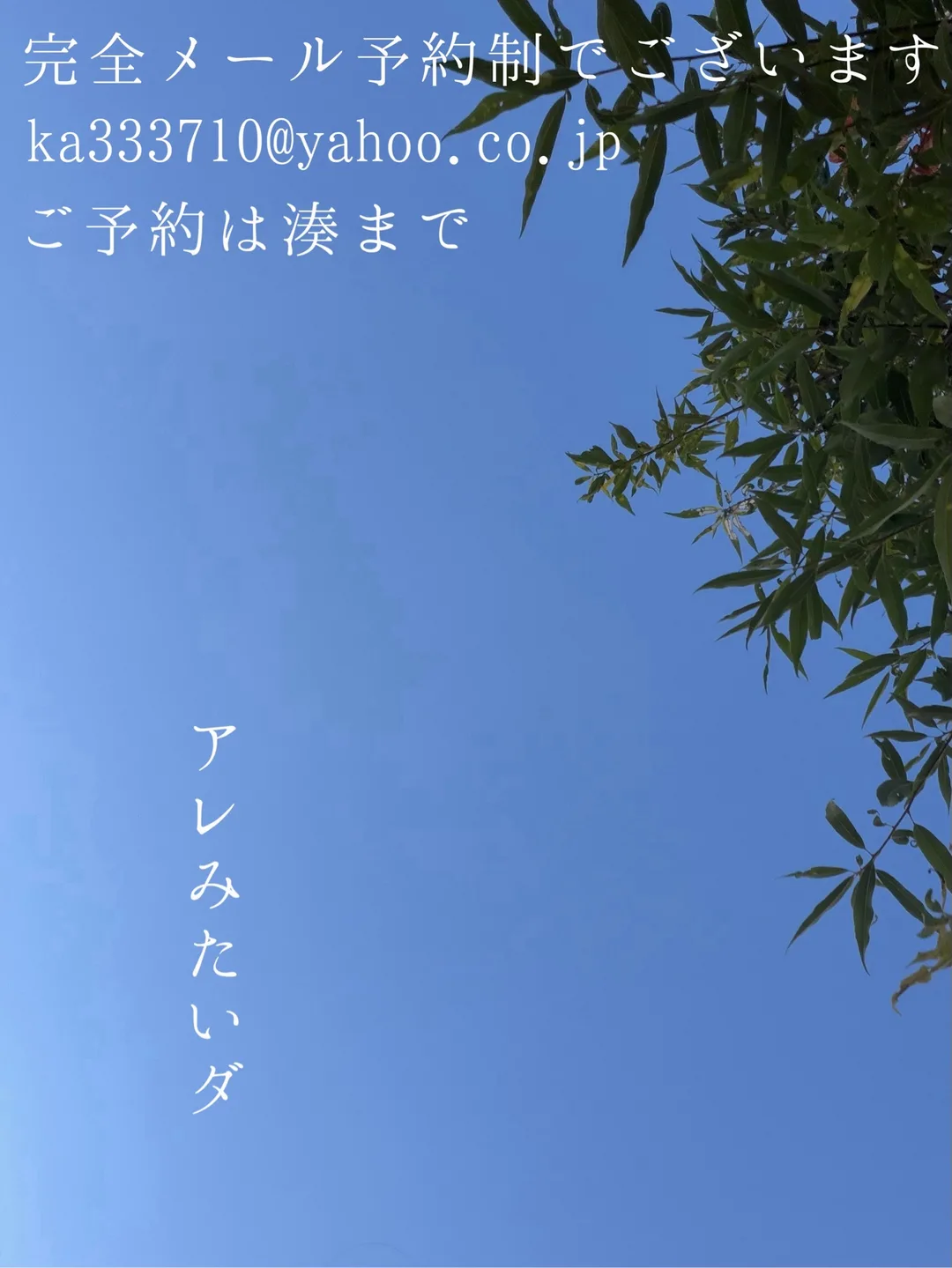 湊 かすみの写メ日記｜ローテンブルク 吉原高級店ソープ