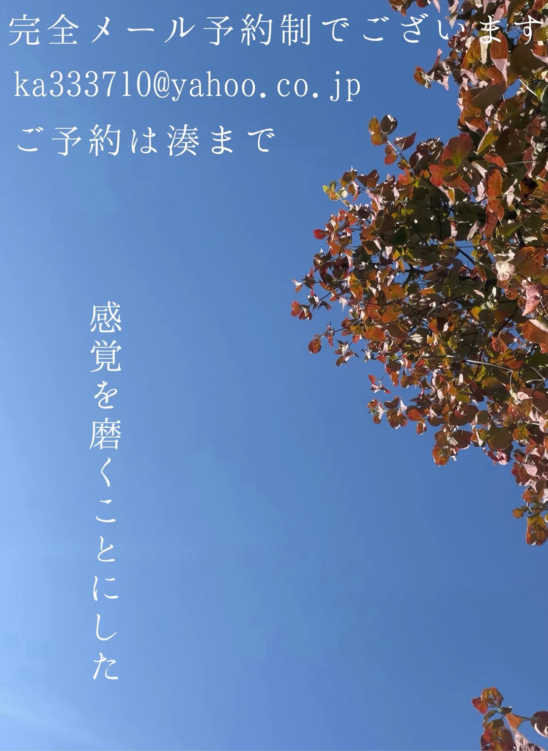 湊 かすみの写メ日記｜ローテンブルク 吉原高級店ソープ