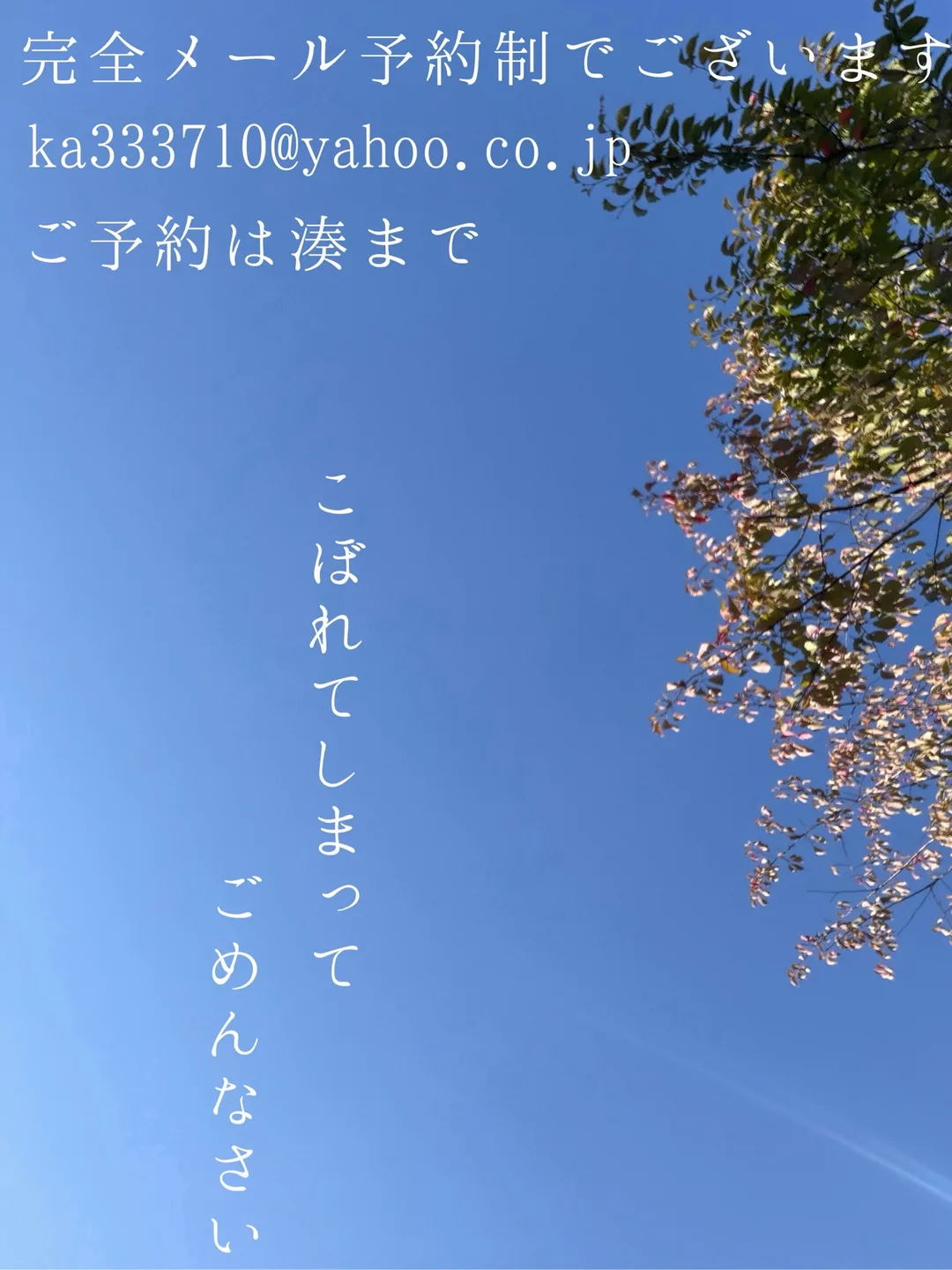 湊 かすみの写メ日記｜ローテンブルク 吉原高級店ソープ