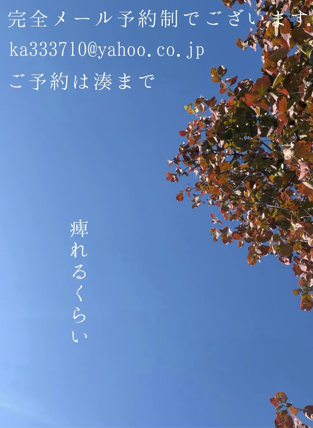 湊 かすみの写メ日記｜ローテンブルク 吉原高級店ソープ