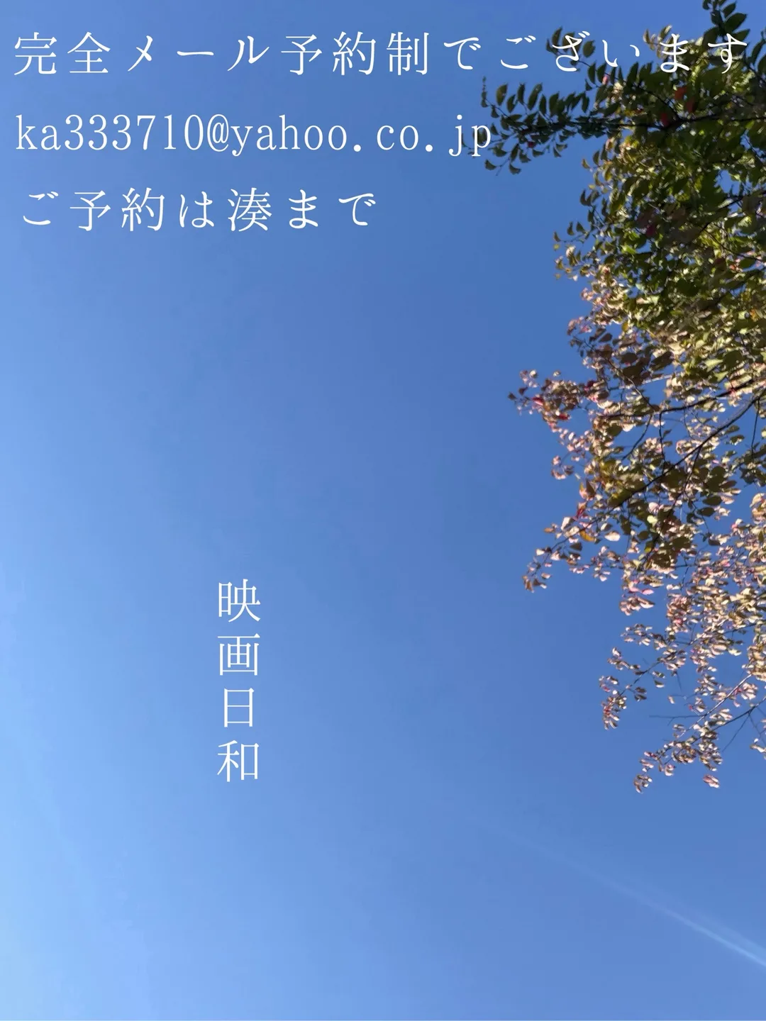 湊 かすみの写メ日記｜ローテンブルク 吉原高級店ソープ