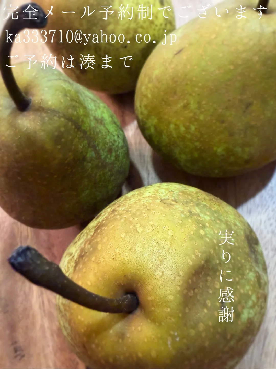 湊 かすみの写メ日記｜ローテンブルク 吉原高級店ソープ