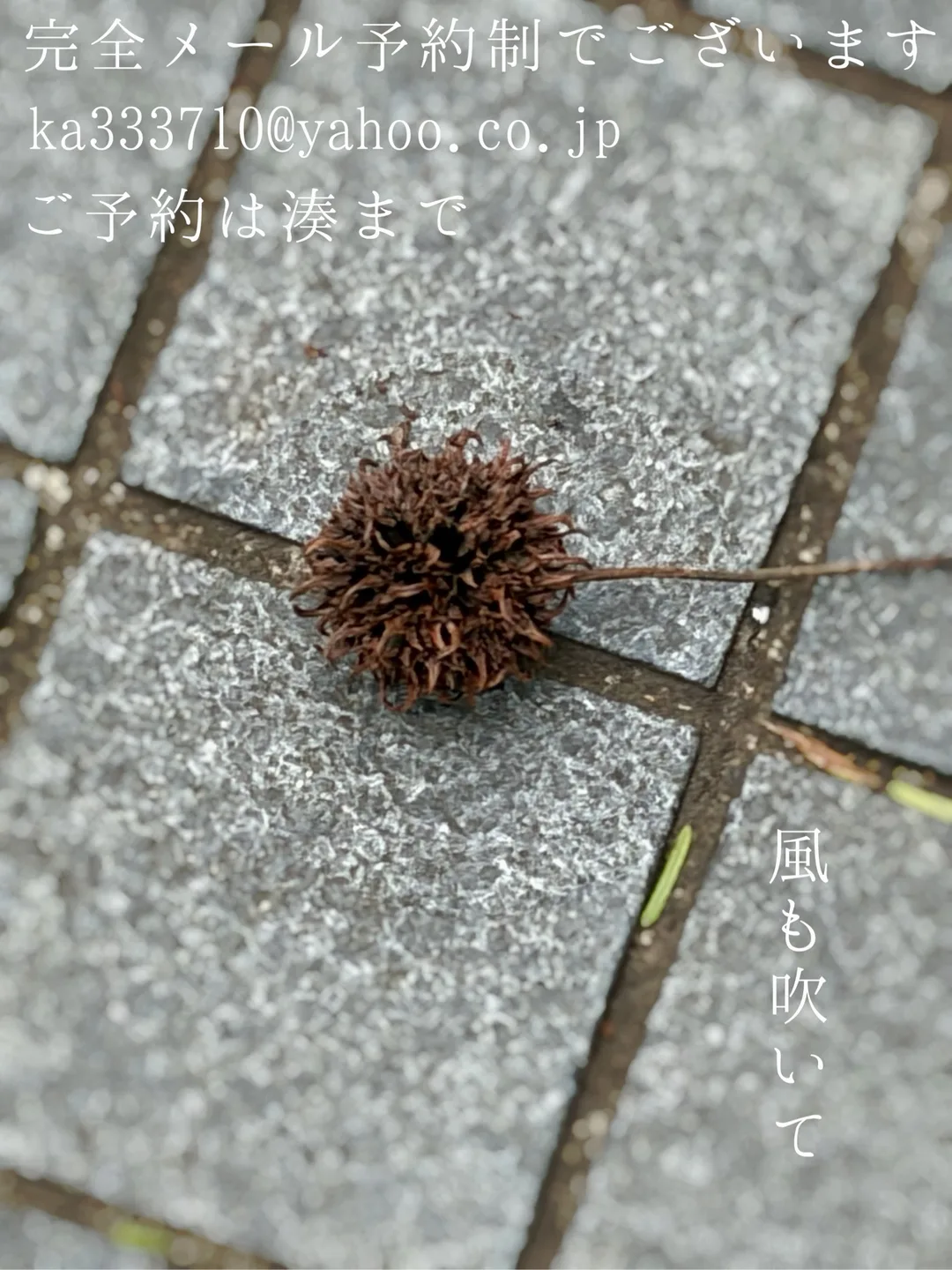 湊 かすみの写メ日記｜ローテンブルク 吉原高級店ソープ