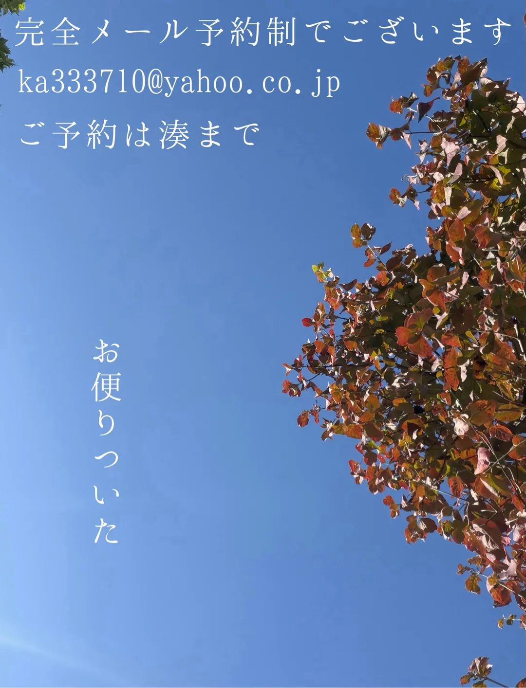 湊 かすみの写メ日記｜ローテンブルク 吉原高級店ソープ