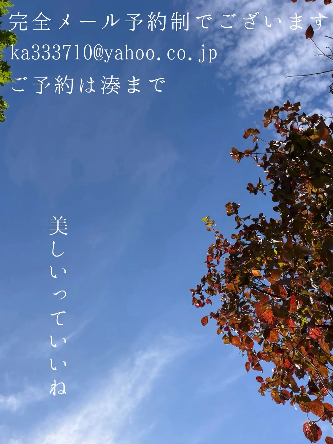 湊 かすみの写メ日記｜ローテンブルク 吉原高級店ソープ