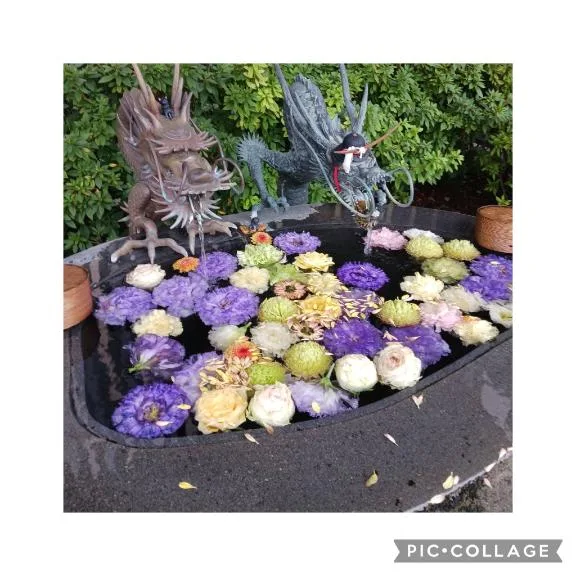 美咲りんかの写メ日記｜ローテンブルク 吉原高級店ソープ