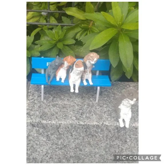美咲りんかの写メ日記｜ローテンブルク 吉原高級店ソープ