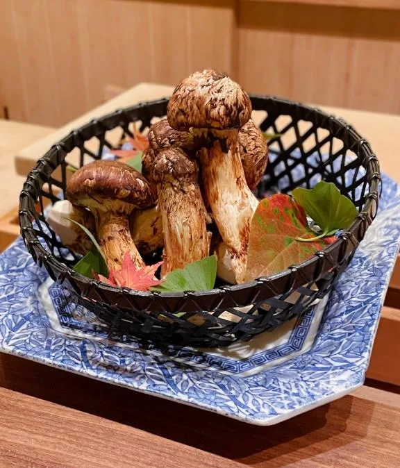椎名由貴の写メ日記｜ローテンブルク 吉原高級店ソープ