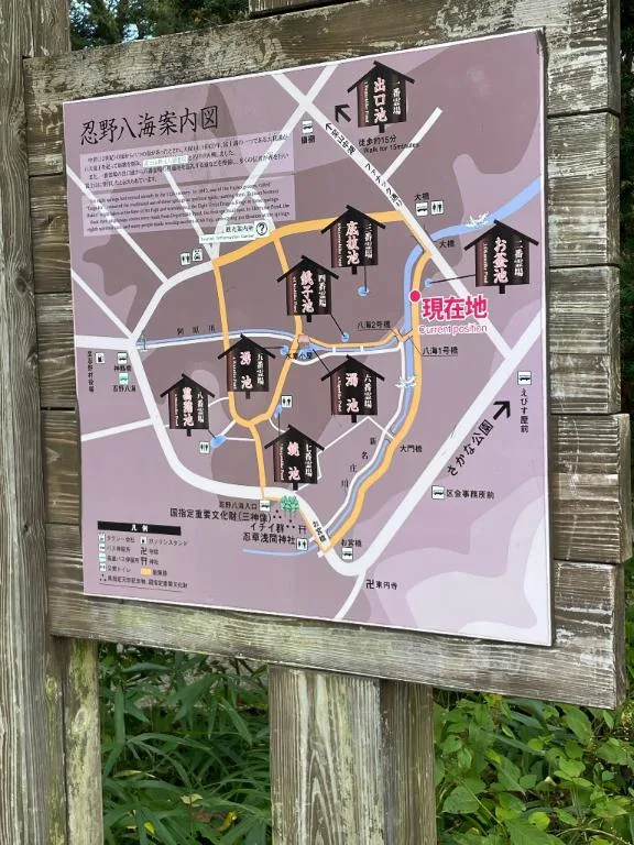 椎名由貴の写メ日記｜ローテンブルク 吉原高級店ソープ