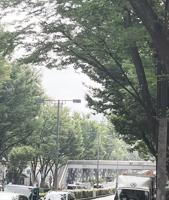 里中あいりの写メ日記｜ローテンブルク 吉原高級店ソープ