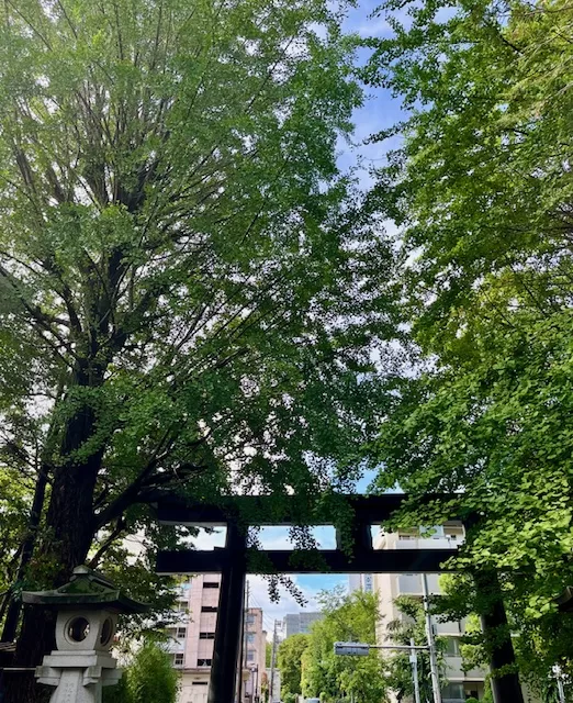 里中あいりの写メ日記｜ローテンブルク 吉原高級店ソープ
