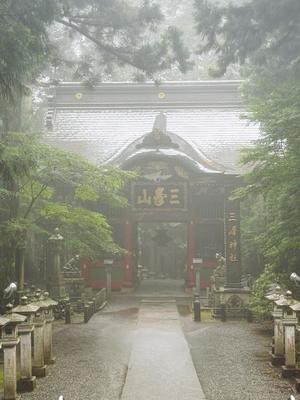椿 こずえの写メ日記｜ローテンブルク 吉原高級店ソープ