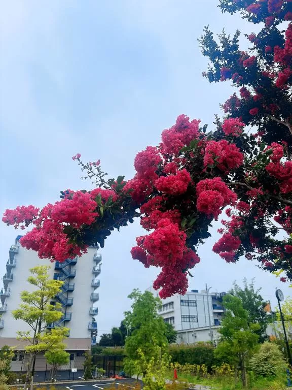 藤崎美奈の写メ日記｜ローテンブルク 吉原高級店ソープ