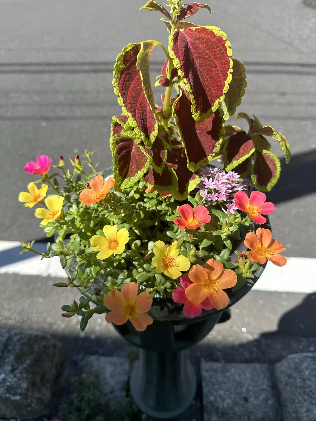 白瀬奈美の写メ日記｜ローテンブルク 吉原高級店ソープ