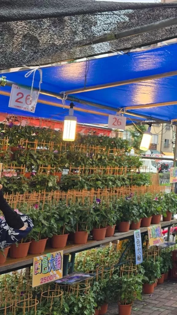 志摩かおるの写メ日記｜ローテンブルク 吉原高級店ソープ