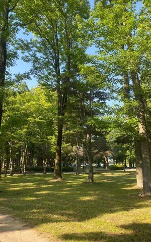 土屋まなみの写メ日記｜ローテンブルク 吉原高級店ソープ