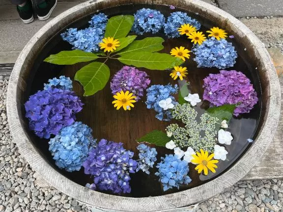 土屋まなみの写メ日記｜ローテンブルク 吉原高級店ソープ