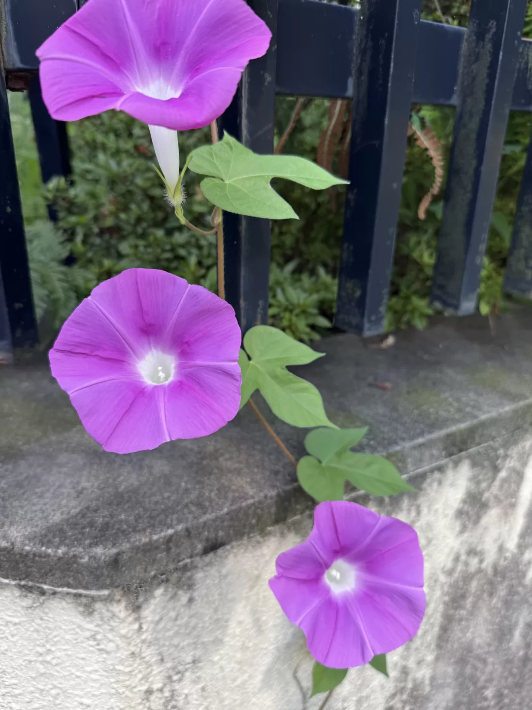 image0.jpeg