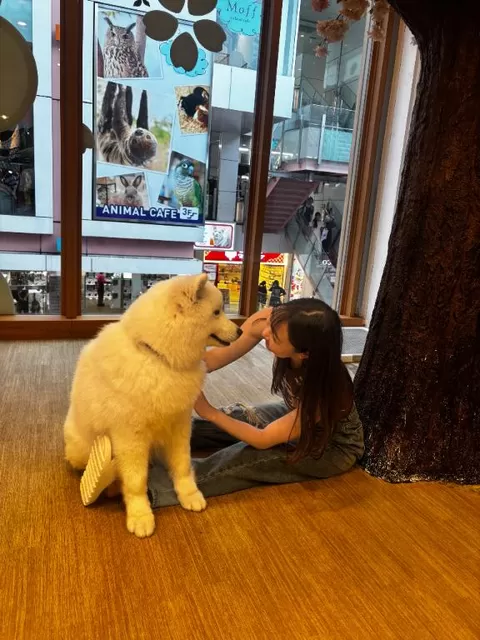 ふみの写メ日記｜セグレターリオ 吉原高級店ソープ