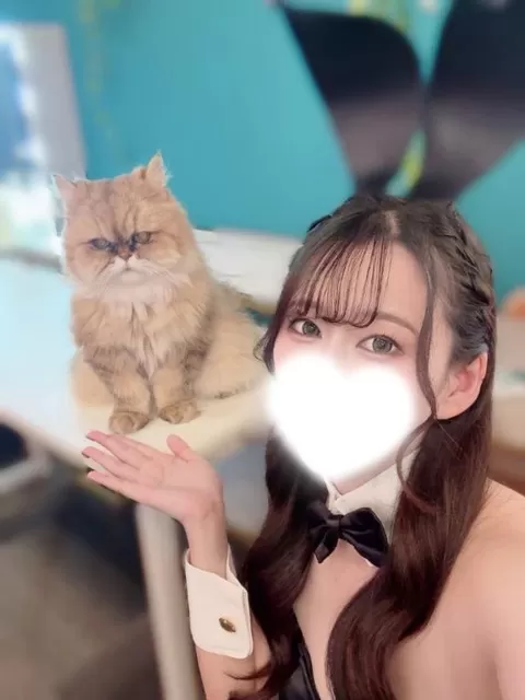 さくらの写メ日記｜TOKYO BUNNYS CLUB 吉原高級店ソープ