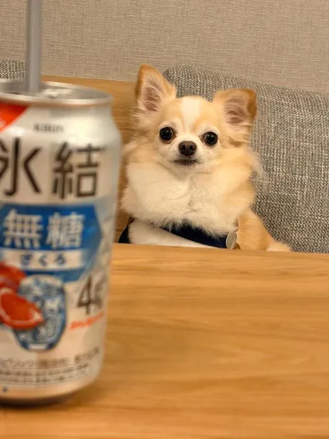 ルナの写メ日記｜ヴェルサイユ 吉原高級店ソープ