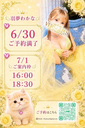 羽夢(はむ)わかなの写メ日記|ヴェルサイユ 吉原高級店ソープ