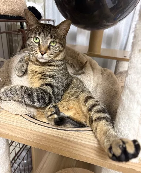 咲良の写メ日記｜ヴェルサイユ 吉原高級店ソープ