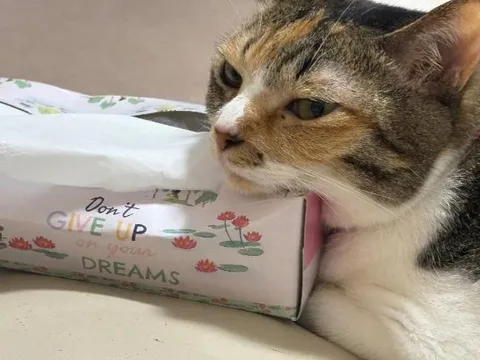 咲良の写メ日記｜ヴェルサイユ 吉原高級店ソープ