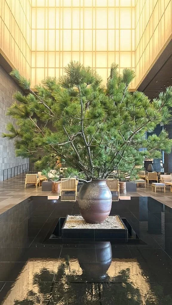 まこの写メ日記｜鹿鳴館 吉原高級店ソープ
