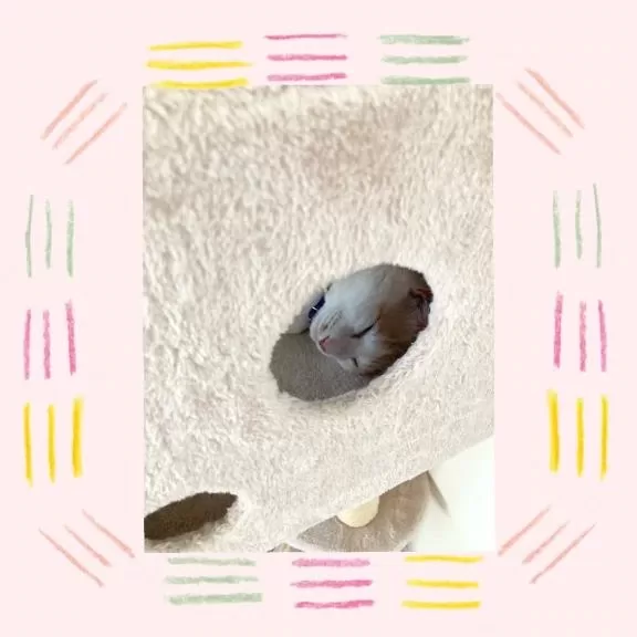 工藤なつきの写メ日記｜鹿鳴館 吉原高級店ソープ
