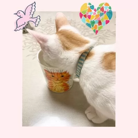 工藤なつきの写メ日記｜鹿鳴館 吉原高級店ソープ