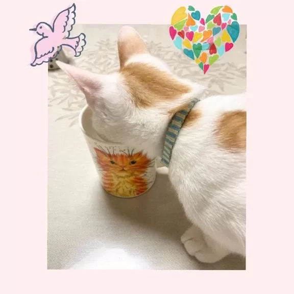 工藤なつきの写メ日記｜鹿鳴館 吉原高級店ソープ